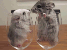 Gif animé amour mignon